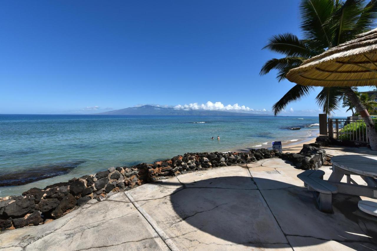Kaleialoha 401 *