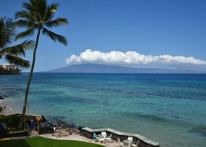 Kaleialoha 401